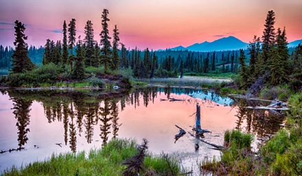 Wetlands and lush landscaping against a mountain at dusk