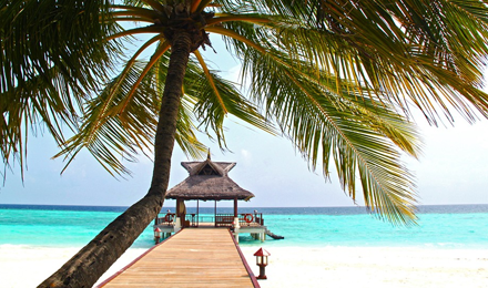 Palm tree, dock, beach and blue water in the Caribbean