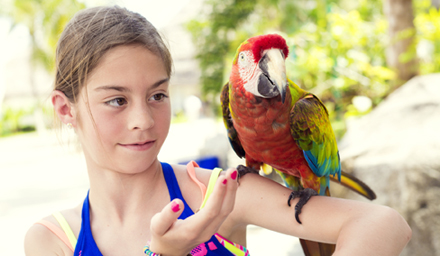 Young girl holding a brightly colored parrot on her shoulder
