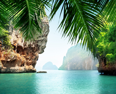 Themed Trips