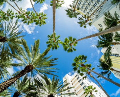 Florida