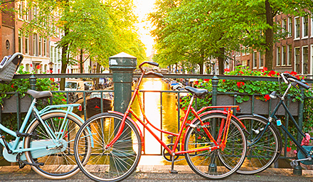 Brightly colored bikes lining a bridge in Amsterdam in the Netherlands