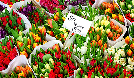 Bouquets of bright tulips for sale in the Netherlands